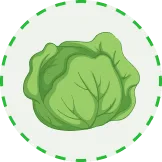 汇聚全球体育精彩 - 28圈APP