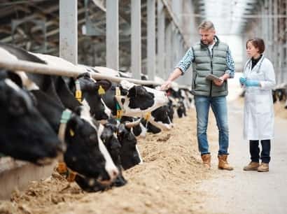 为全球体育爱好者打造一站式平台 - 28圈APP