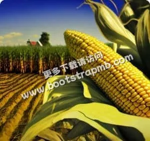 致力于打造领先的体育信息平台 - 28圈APP