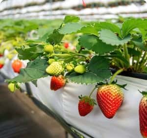 致力于打造领先的体育信息平台 - 28圈APP