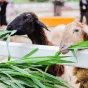 搜索 - 28圈APP