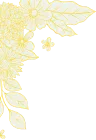 200+ - 28圈APP